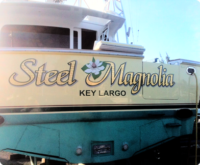 Steel Magnolia